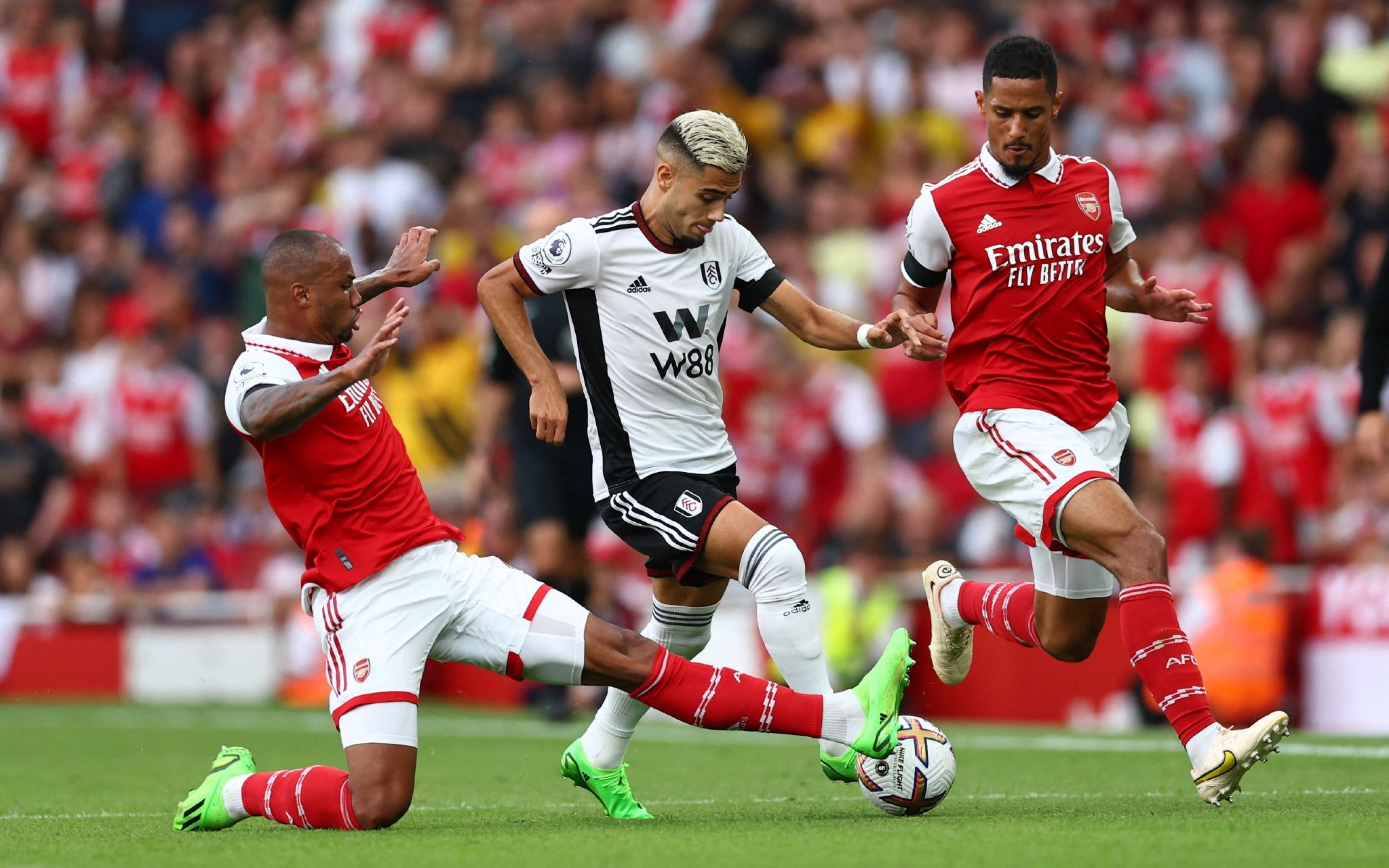 天乐的首选 天乐的首选